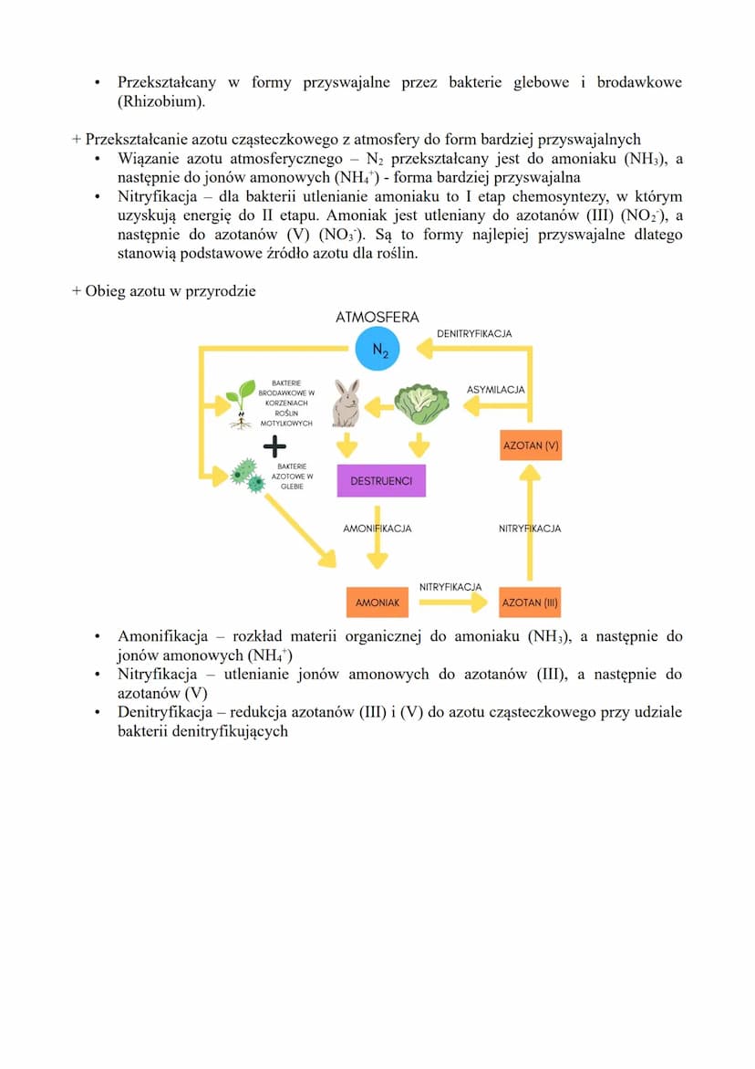 1. Węgiel
+ Dlaczego jest ważny?
●
+ Źródła węgla
Atmosfera - węgiel występuje w postaci CO₂ (nadmiar nie jest wskazany)
Woda - w postaci kw