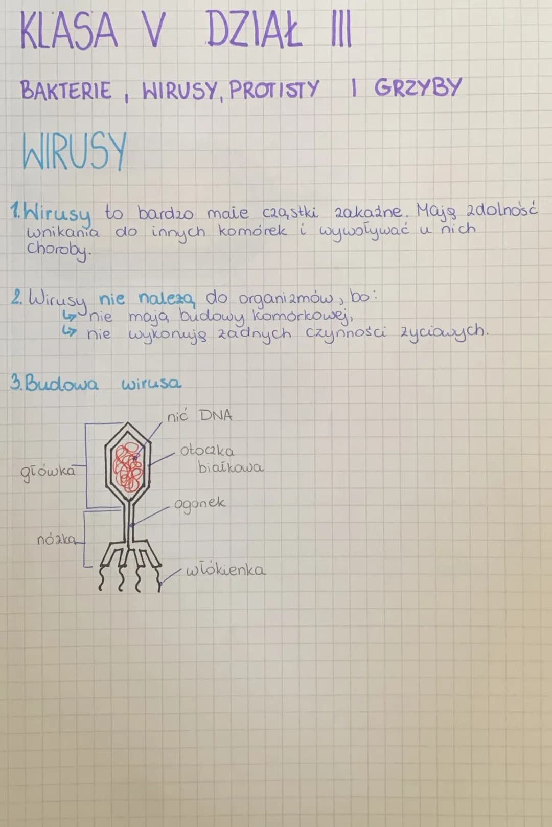 Biologia Klasa 5 Wirusy Bakterie Protisty I Grzyby Test Wirusy, bakterie, protisty i grzyby - Sprawdzian klasa 5 PDF (Biologia
