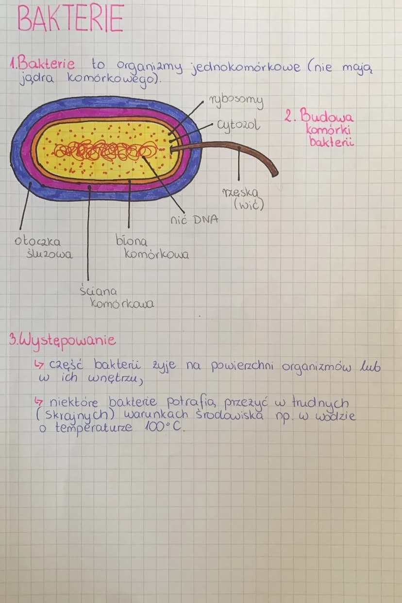 
<h2 id="wirusy">Wirusy</h2>
<p>Wirusy to bardzo małe cząstki zakaźne, które posiadają zdolność wnękowania do komórek organizmów i wywoływan