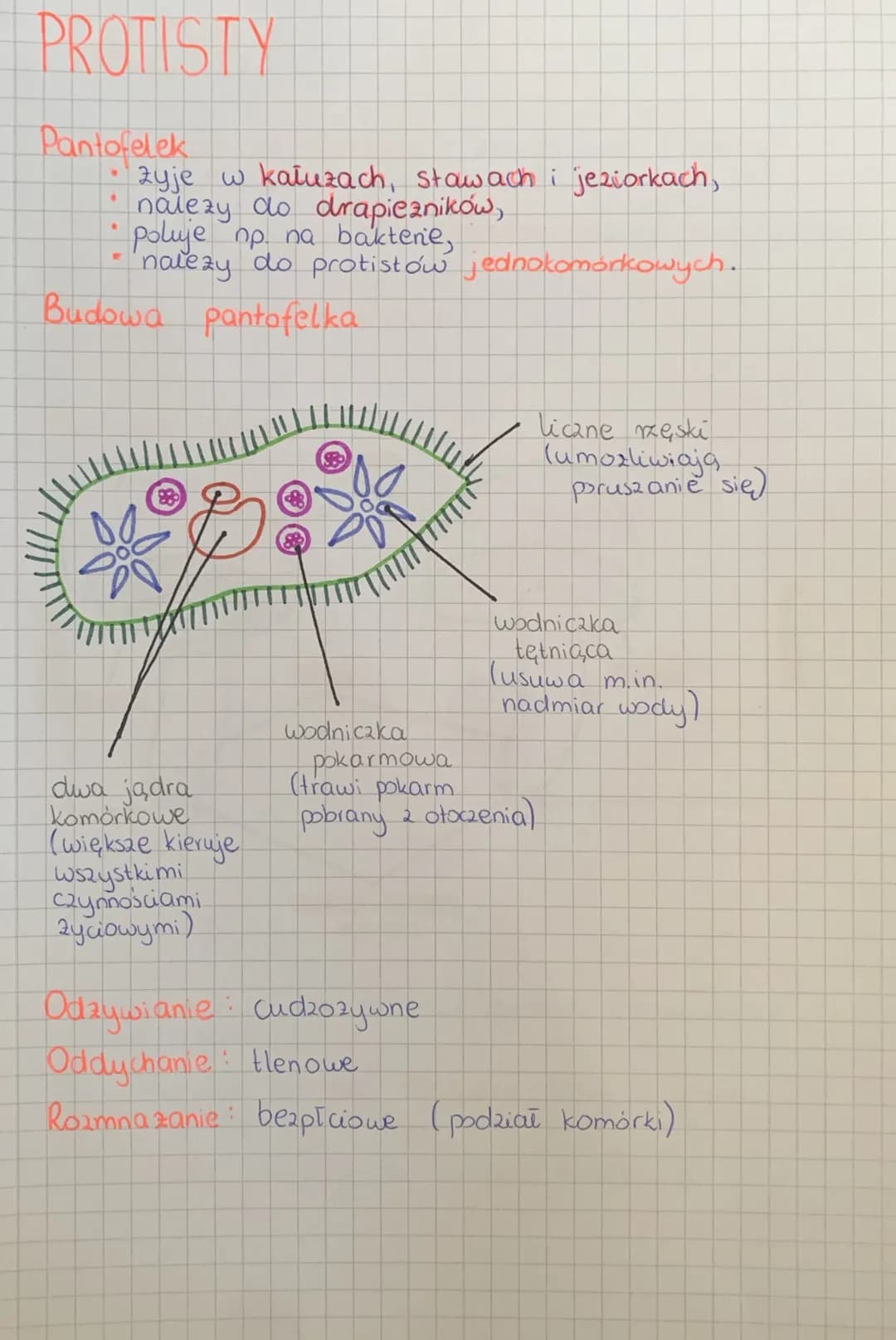 
<h2 id="wirusy">Wirusy</h2>
<p>Wirusy to bardzo małe cząstki zakaźne, które posiadają zdolność wnękowania do komórek organizmów i wywoływan