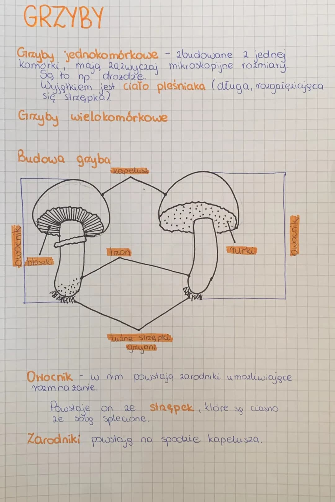 
<h2 id="wirusy">Wirusy</h2>
<p>Wirusy to bardzo małe cząstki zakaźne, które posiadają zdolność wnękowania do komórek organizmów i wywoływan