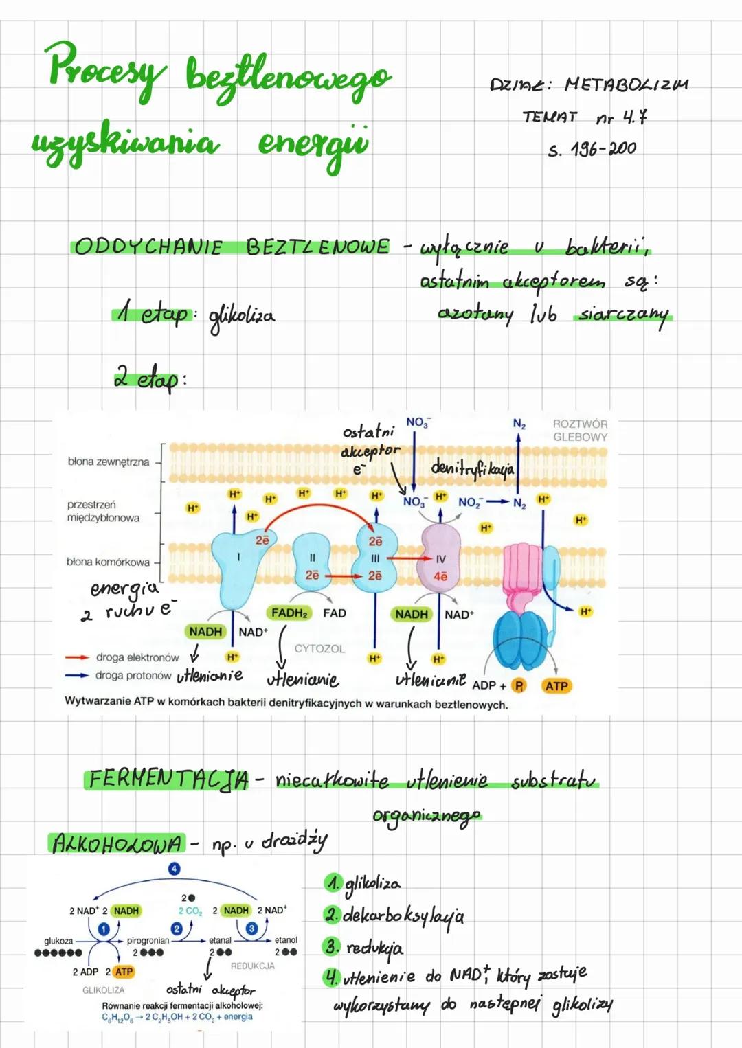 Procesy uzyskiwania energii beztlenowej