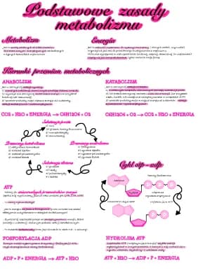 Know podstawowe zasady metabolizmu thumbnail