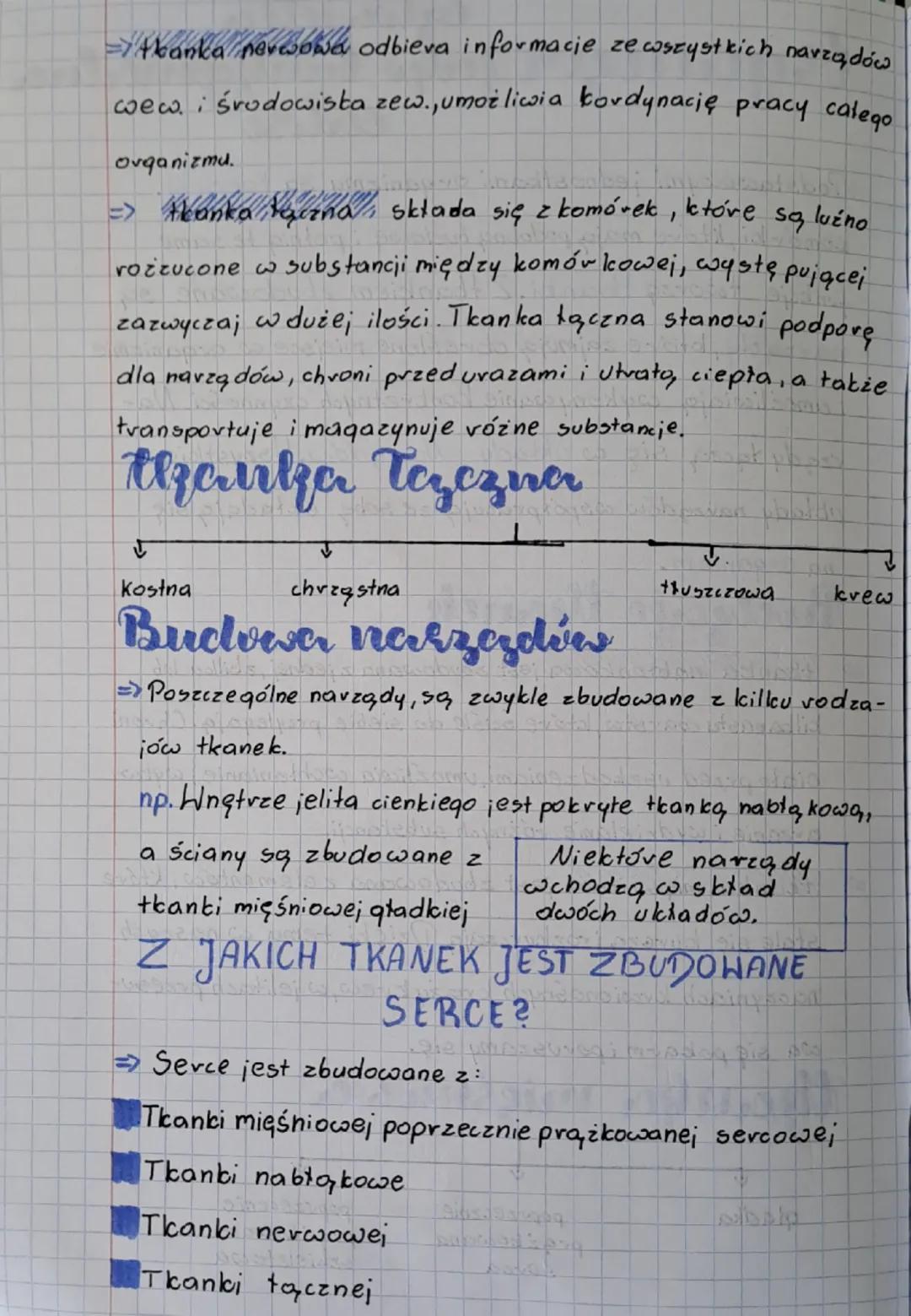 eztervielfer

fegamizım jako bunkcjonalne
certosi

*Podstawowymi jednostkami orqanizmu są, komórki.

komórki, które mają podobną, budowę i p