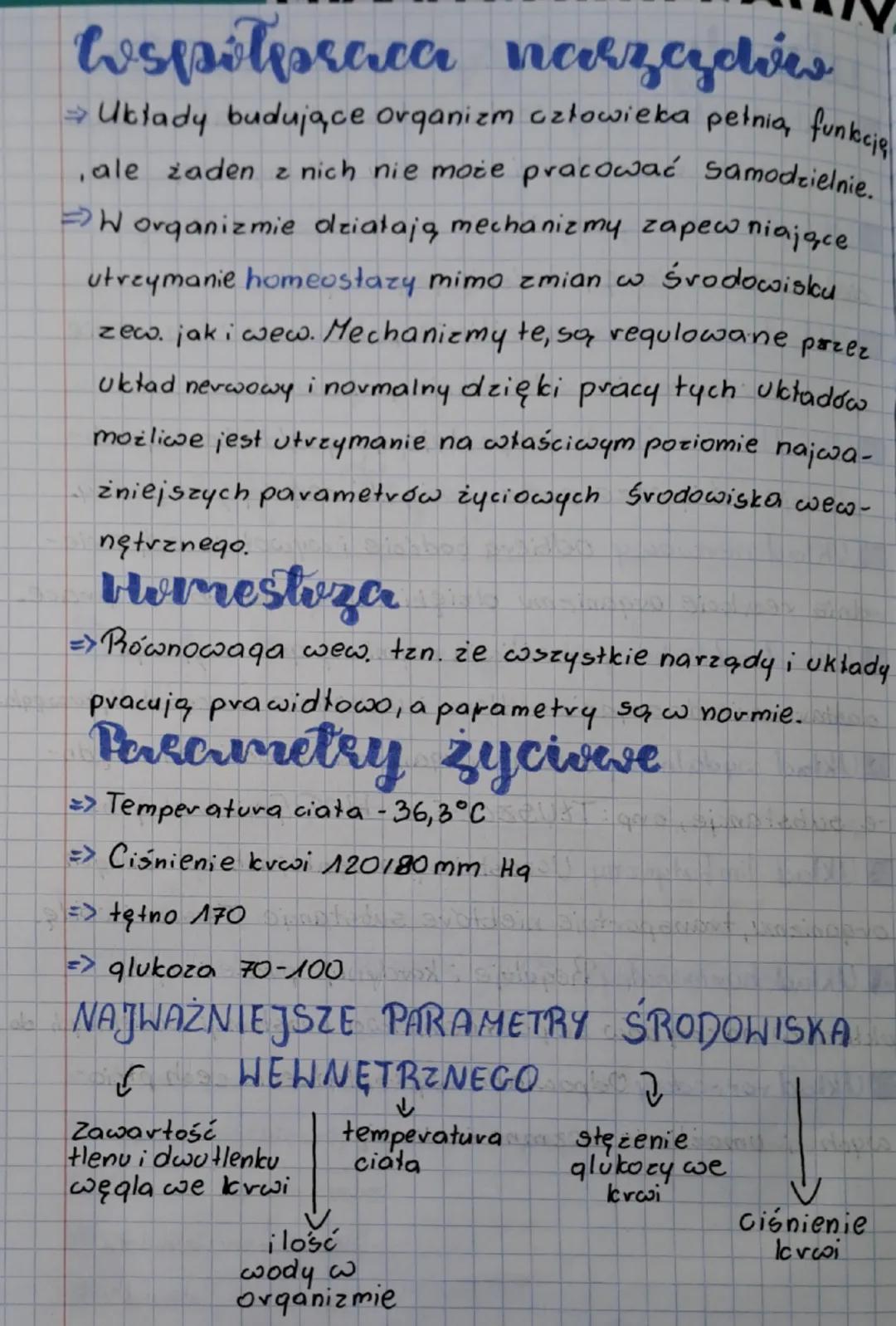 eztervielfer

fegamizım jako bunkcjonalne
certosi

*Podstawowymi jednostkami orqanizmu są, komórki.

komórki, które mają podobną, budowę i p