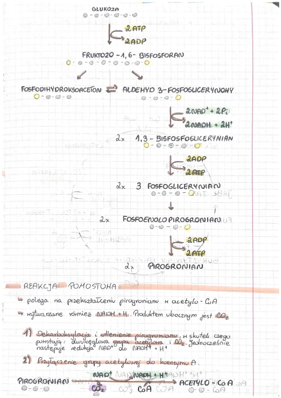 ODDYCHANIE KOMÓRKOHE
ODDYCHANIE TLENOHE
Oddychanie komórkowe - podstaнony proces dostarczający
komorce i utlenianiu zmigation.
energi Polega