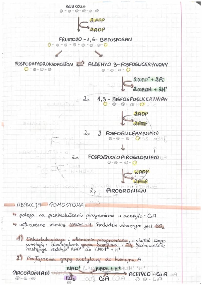 ODDYCHANIE KOMÓRKOHE
ODDYCHANIE TLENOHE
Oddychanie komórkowe - podstaнony proces dostarczający
komorce i utlenianiu zmigation.
energi Polega