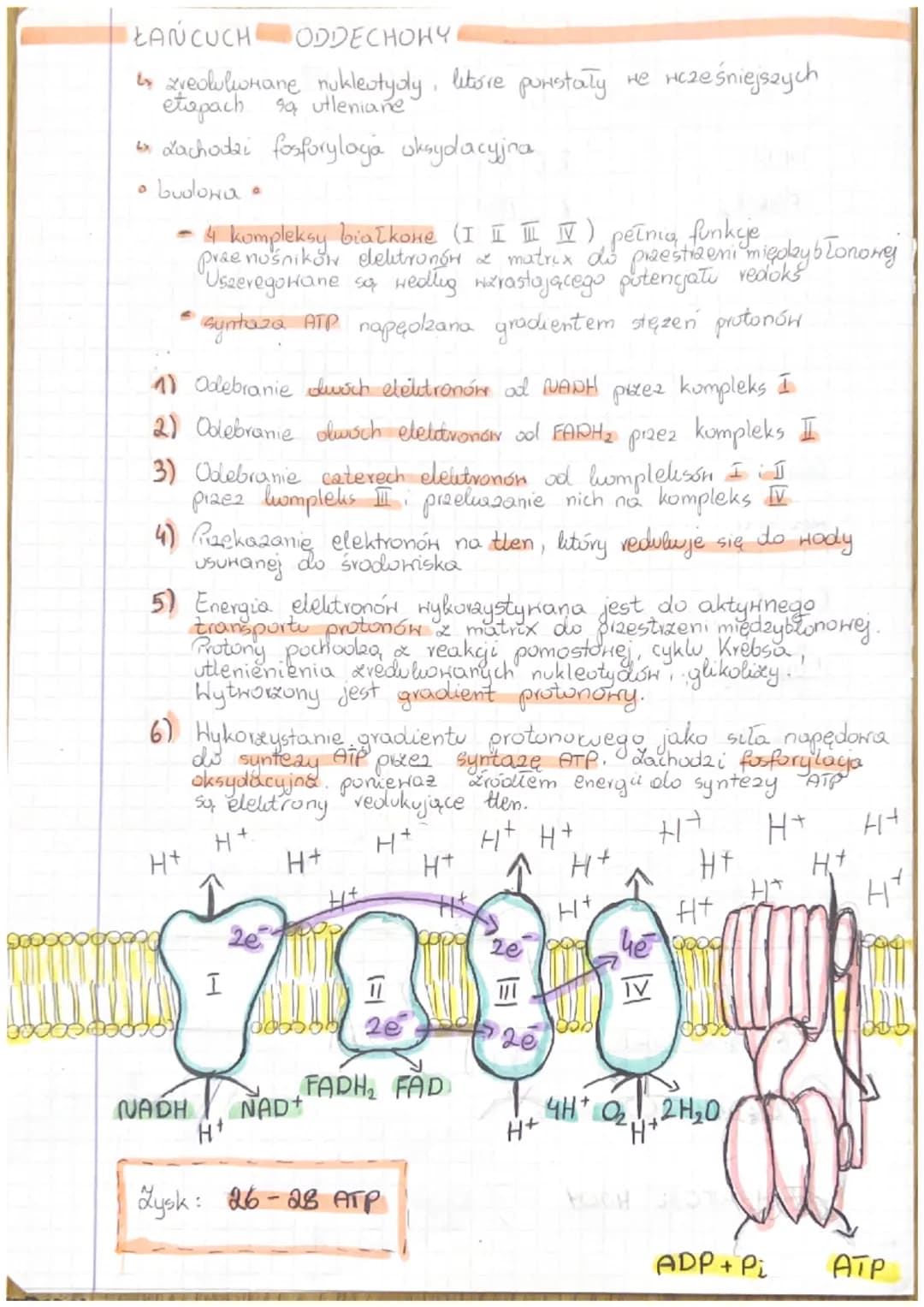 ODDYCHANIE KOMÓRKOHE
ODDYCHANIE TLENOHE
Oddychanie komórkowe - podstaнony proces dostarczający
komorce i utlenianiu zmigation.
energi Polega