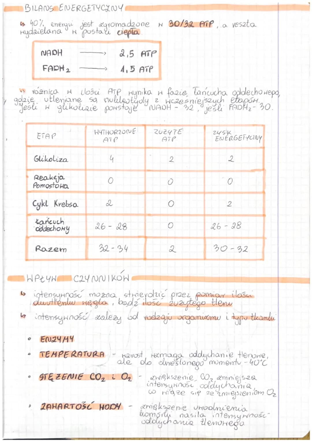 Jak działa oddychanie komórkowe? Etapy i procesy, które musisz znać!