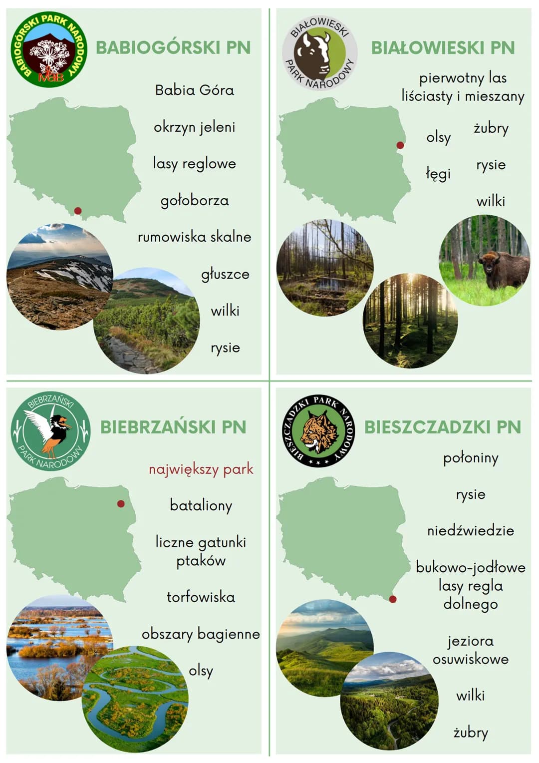 BABIOGONSKIP
PARK
PARK
MaB
NARO
BIEBRZAŃSKI
BABIOGÓRSKI PN
Babia Góra
okrzyn jeleni
lasy reglowe
gołoborza
rumowiska skalne
głuszce
wilki
ry