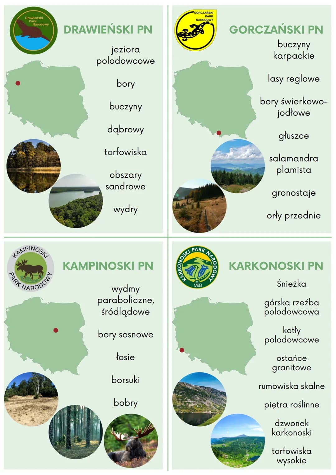 BABIOGONSKIP
PARK
PARK
MaB
NARO
BIEBRZAŃSKI
BABIOGÓRSKI PN
Babia Góra
okrzyn jeleni
lasy reglowe
gołoborza
rumowiska skalne
głuszce
wilki
ry