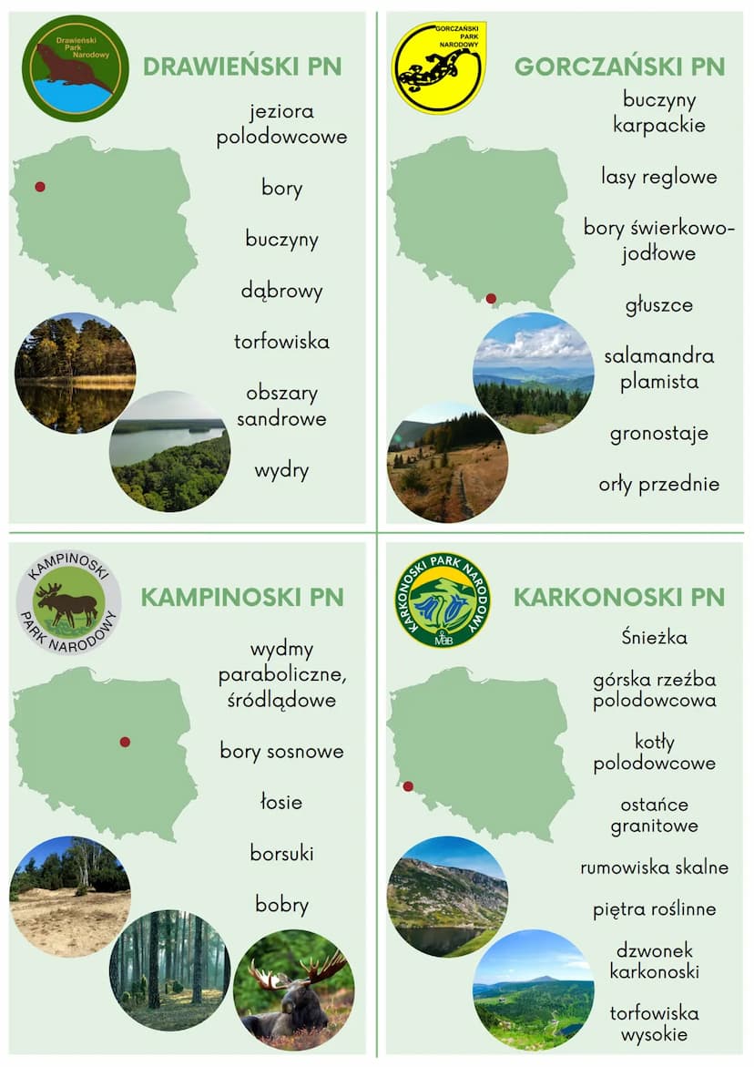 BABIOGONSKIP
PARK
PARK
MaB
NARO
BIEBRZAŃSKI
BABIOGÓRSKI PN
Babia Góra
okrzyn jeleni
lasy reglowe
gołoborza
rumowiska skalne
głuszce
wilki
ry