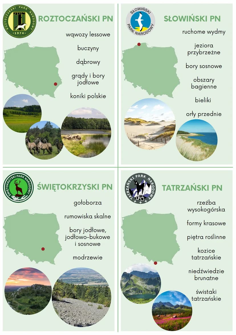 BABIOGONSKIP
PARK
PARK
MaB
NARO
BIEBRZAŃSKI
BABIOGÓRSKI PN
Babia Góra
okrzyn jeleni
lasy reglowe
gołoborza
rumowiska skalne
głuszce
wilki
ry