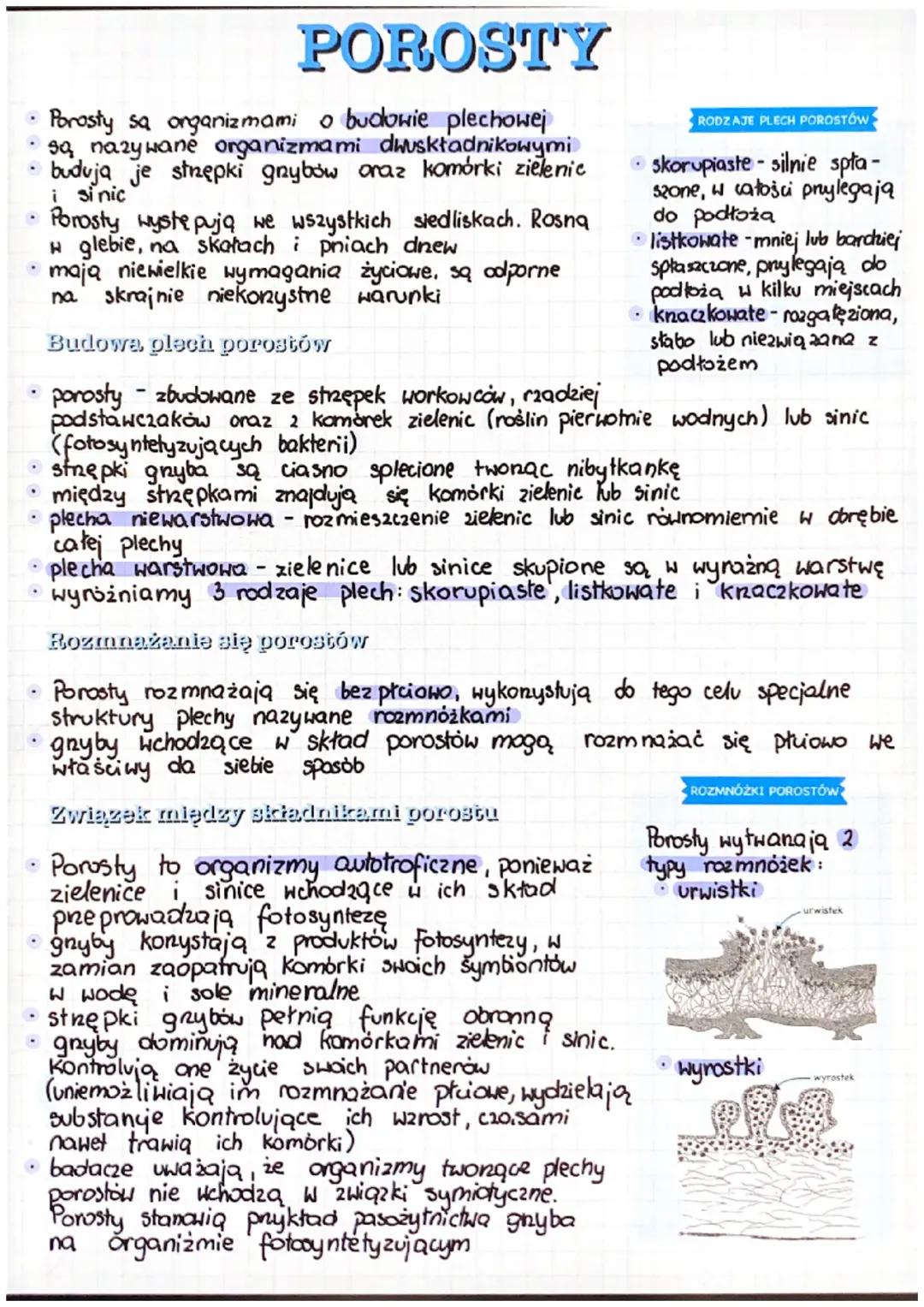 Porosty - Biologia dla Klasa 2 Rozszerzenie