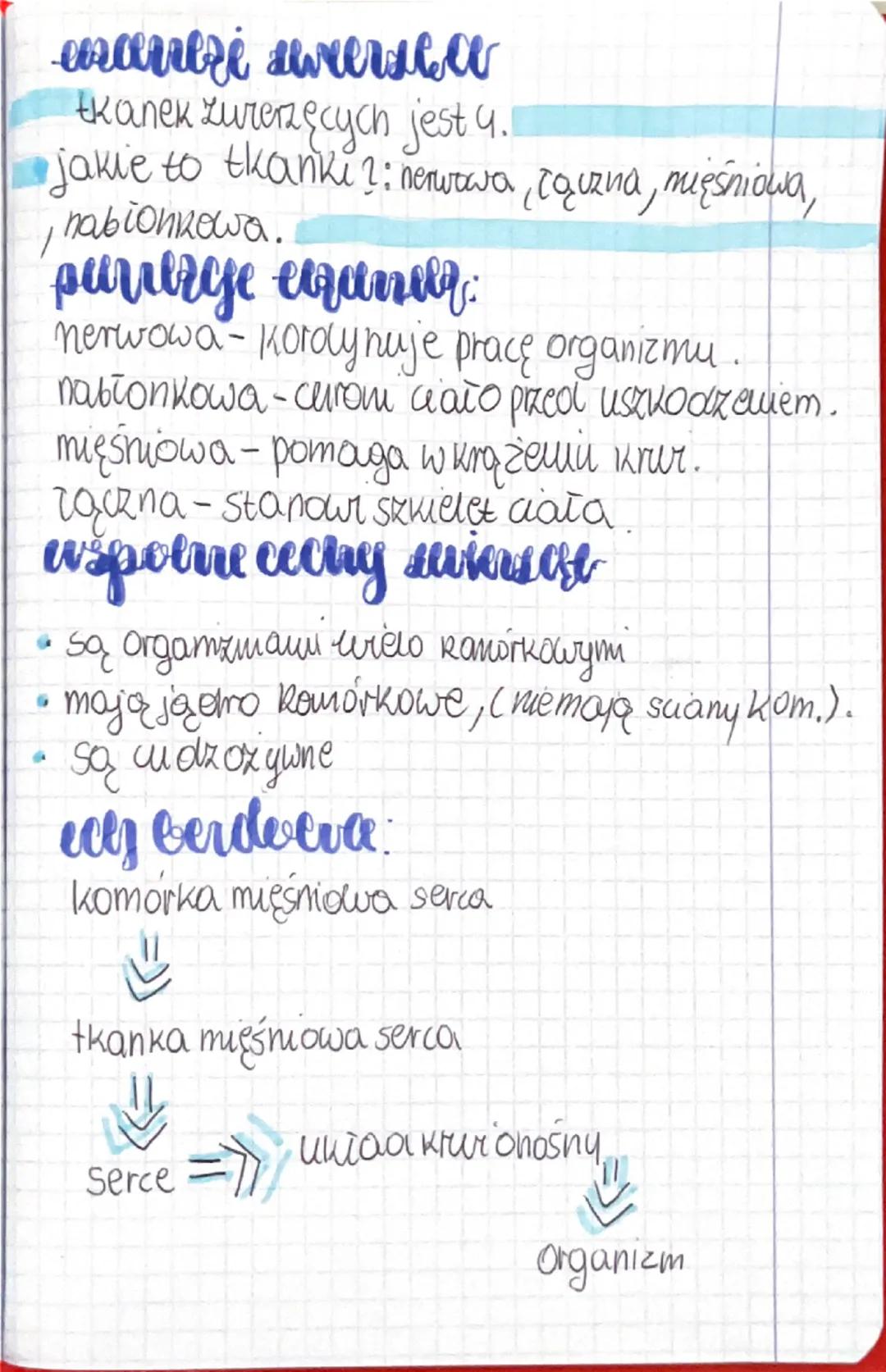 # zantzi suversea

tkanek zurerzęcych jest 4.

jakie to tkanki?: nerurwa tauzna, mięśniowa,
nabionkowa.

# parierge eqandy:

nerwowa-kordynu