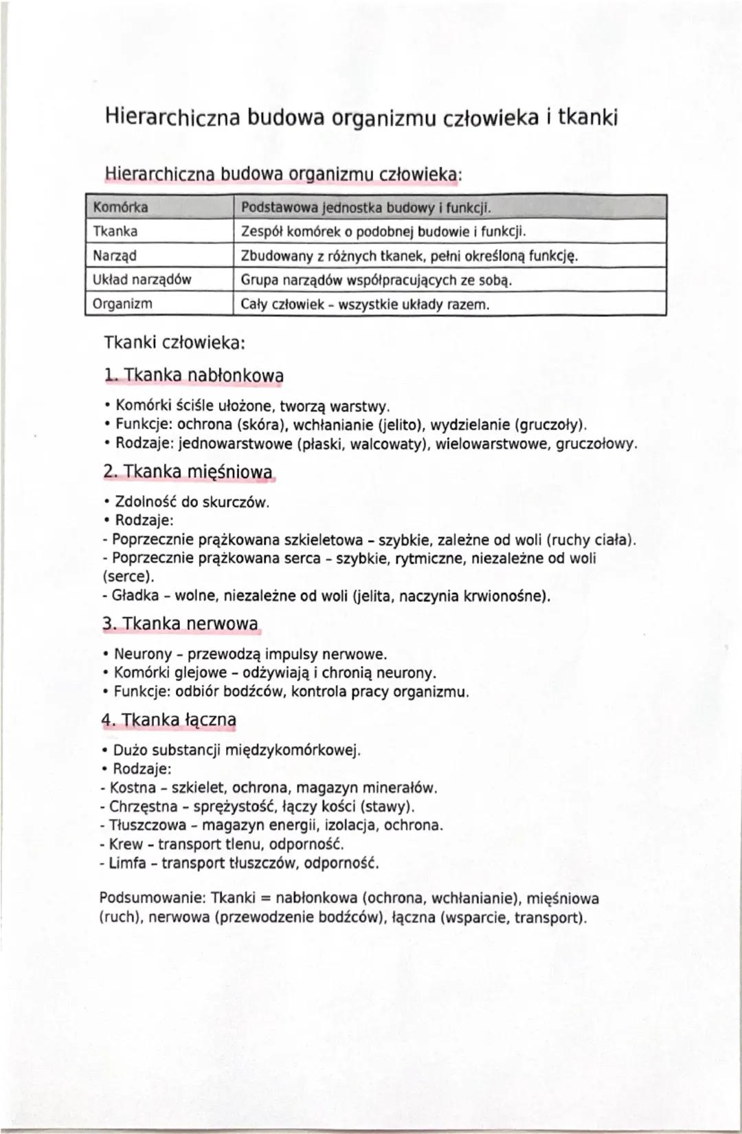 Budowa Organizmu Człowieka: Tkanki i Struktury