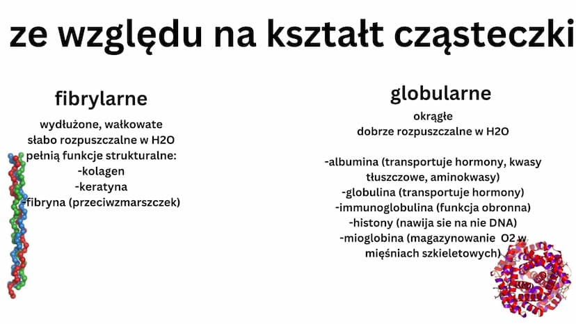 białkowe
Aminokwasy
• 20 aminokwasów
• tworzą peptydy i białka
H
V
N-C-C
HICIR
HJ
grupa aminowa
(-NH2)
OH
grupa karboksylowa -COOH
podstawni