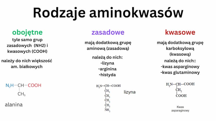 białkowe
Aminokwasy
• 20 aminokwasów
• tworzą peptydy i białka
H
V
N-C-C
HICIR
HJ
grupa aminowa
(-NH2)
OH
grupa karboksylowa -COOH
podstawni