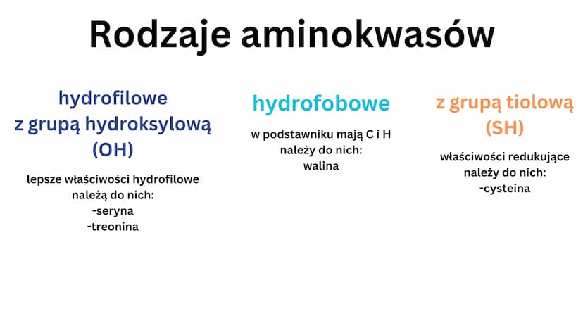 białkowe
Aminokwasy
• 20 aminokwasów
• tworzą peptydy i białka
H
V
N-C-C
HICIR
HJ
grupa aminowa
(-NH2)
OH
grupa karboksylowa -COOH
podstawni