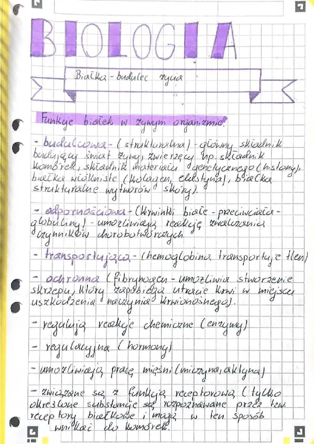 3 funkcje białek w organizmie - Dlaczego są takie ważne?