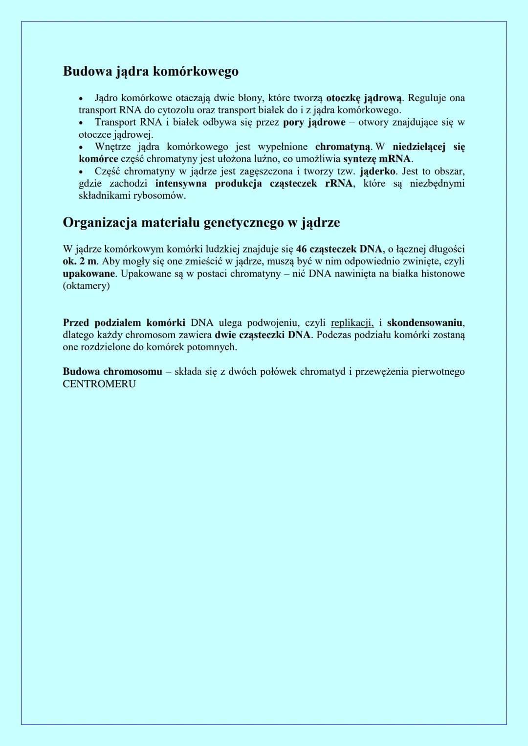 BUDOWA I ROLA JĄDRA KOMÓRKOWEGO
Jądro komórkowe występuje w komórkach eukariotycznych.
Jądro komórkowe zawiera DNA, w którym jest zapisana i