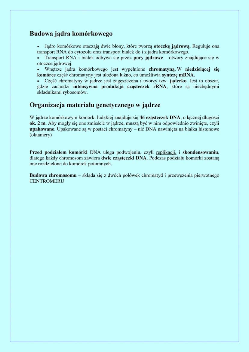 BUDOWA I ROLA JĄDRA KOMÓRKOWEGO
Jądro komórkowe występuje w komórkach eukariotycznych.
Jądro komórkowe zawiera DNA, w którym jest zapisana i