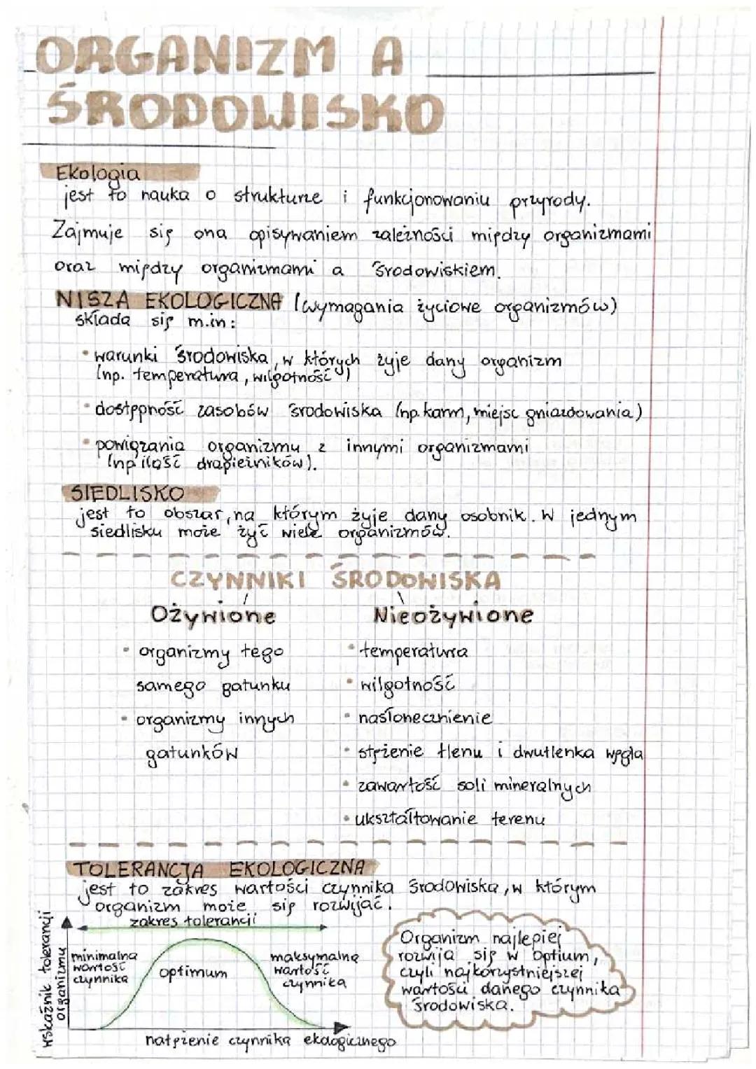 Co to jest ekologia? Prosta definicja dla dzieci