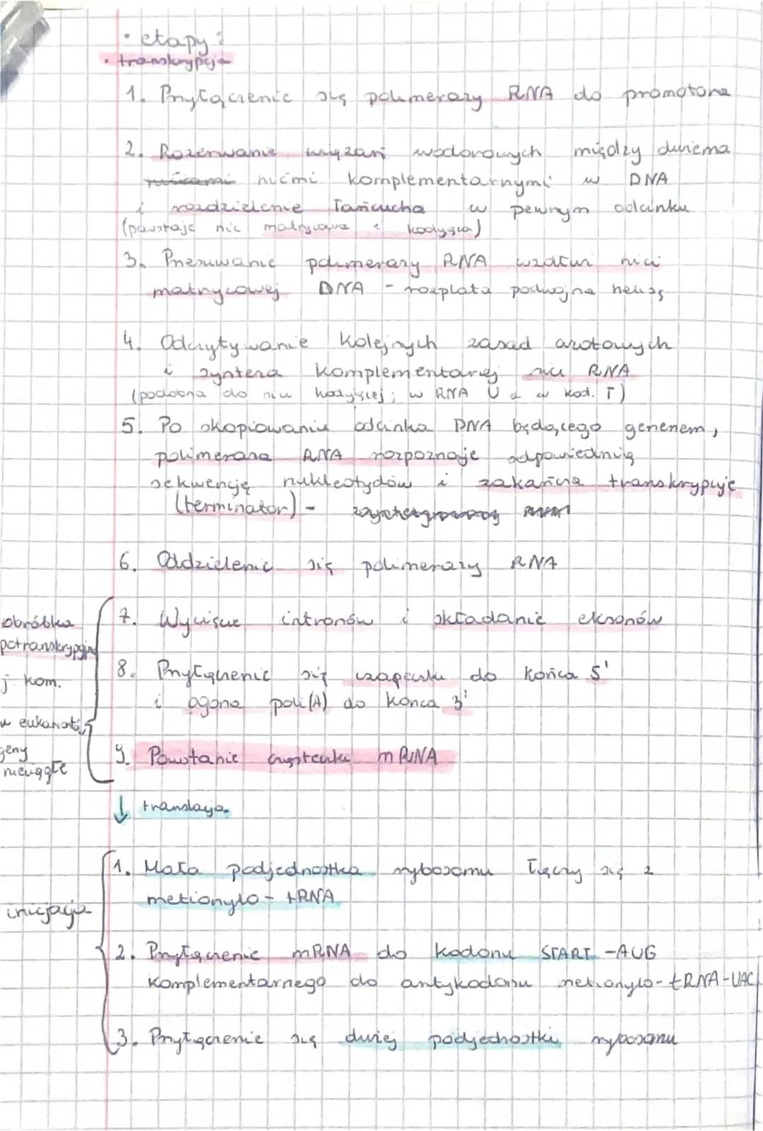 Procesy transkrypcji i translacji krok po kroku
