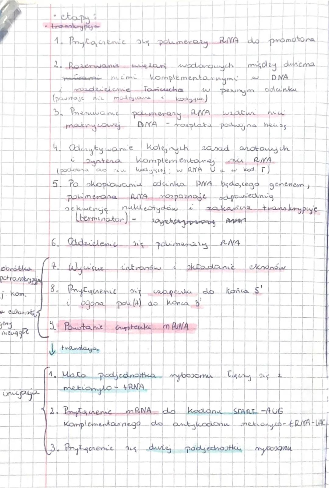 obróbles
potranskrypging
j. kom.
a eukariots
geny
mieuggle
спијаци
• etapy ?
• transkrypcj
1. Pryłączenie się polimerary RNA do promotone
2.