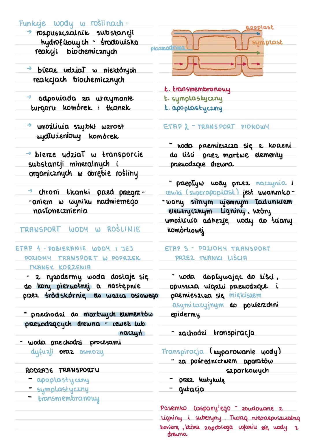 Gospodarka wodna roślin 