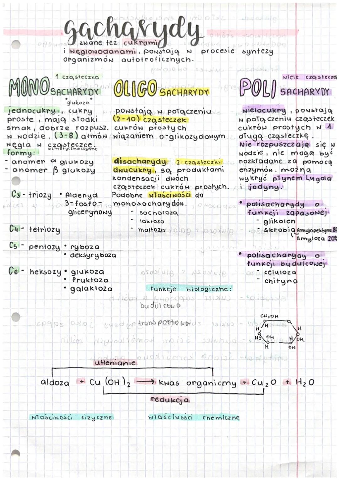Wszystko o sacharydach: Cukry, Węglowodany i Ich Rodzaje