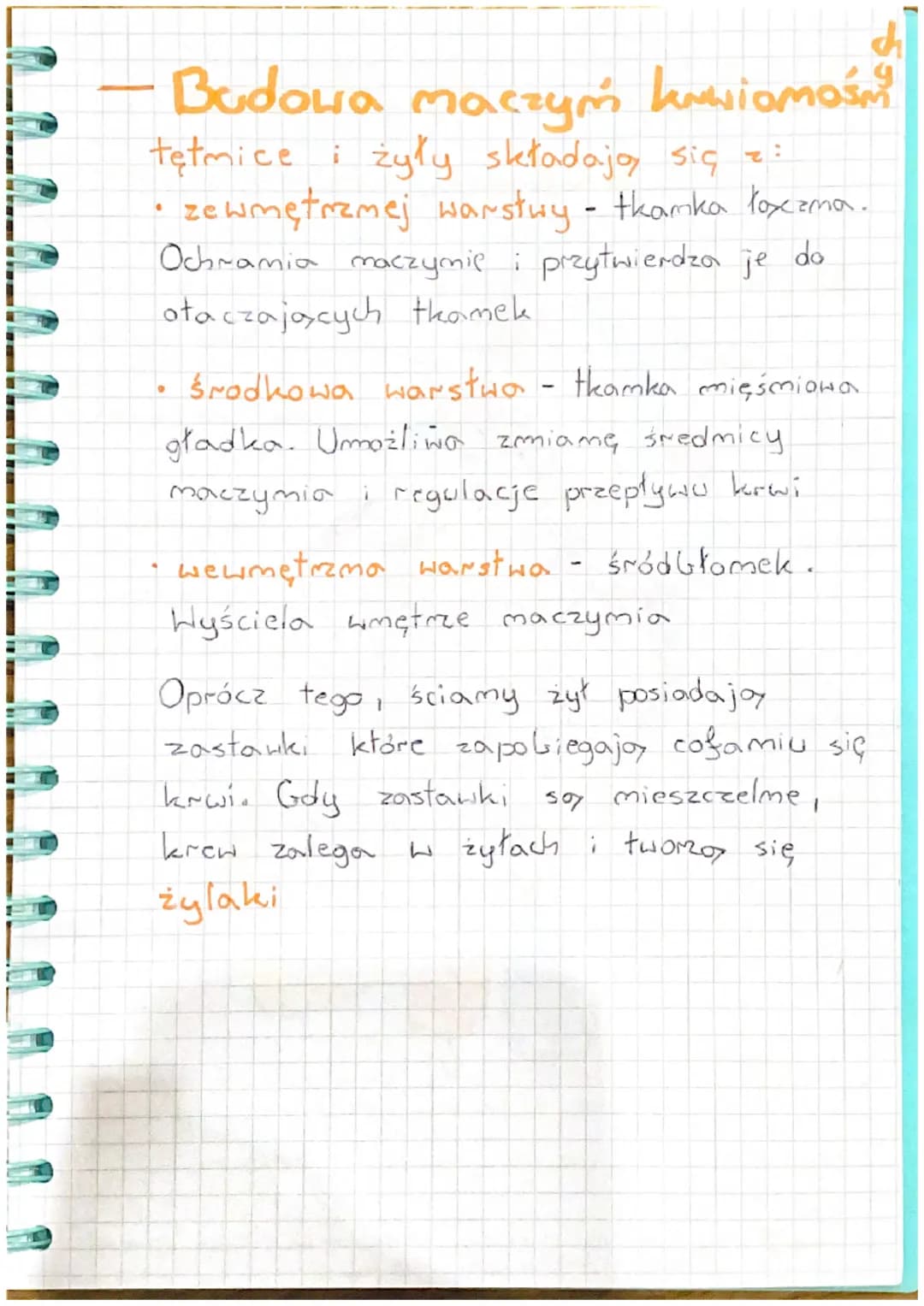 Budowa i funkcje krwi
Krew jest rodzajem tkanki łącznej.
Składa się z:
●
Skład krwi
• substancji międzykomórkowej (osocze)
elementów morfoty