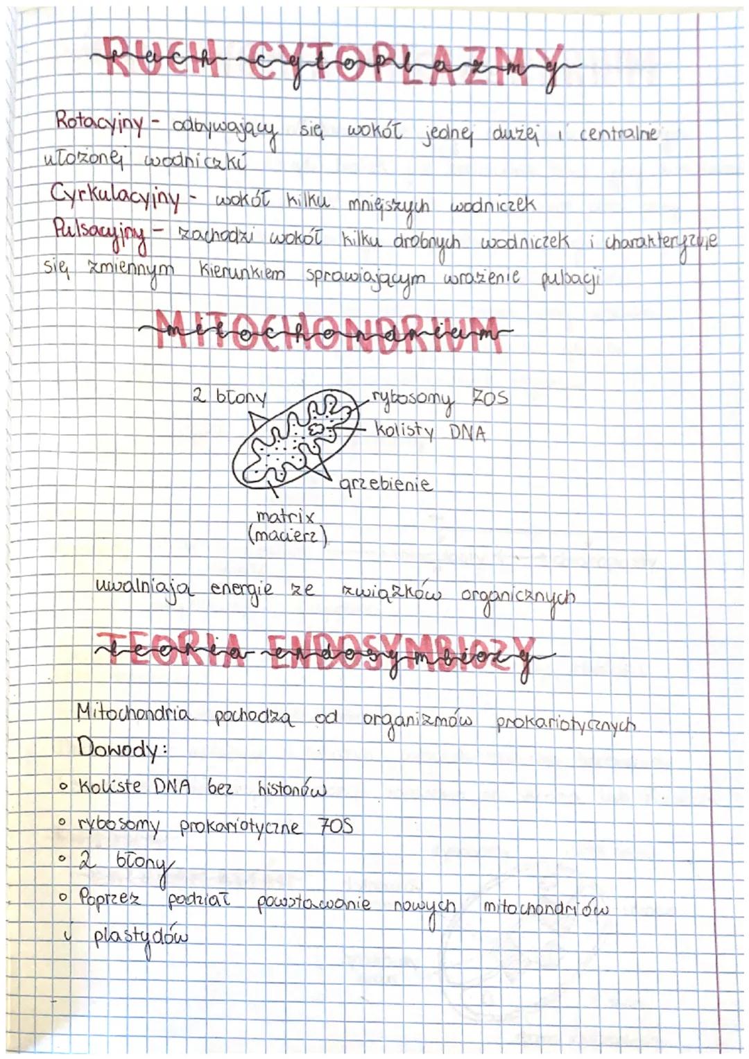 DNA
Cząsteczka dwubiegunowa antyrównoległa
prokariotyczne
brak jadra
bakteryjna
zwierzęce eukariotyczne
posiadają jądro
roślinne grzybowe
OR