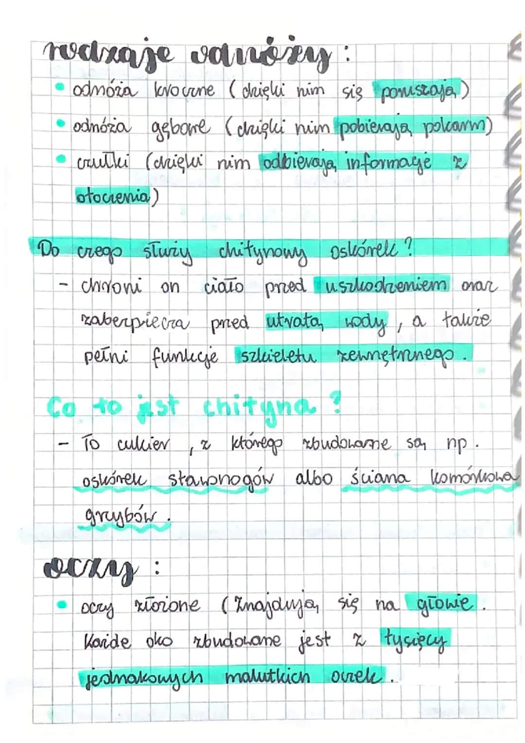 biologia
Co to rest stay
' - To vuchome połączenie części szkieletu.
stawonogi
-
Dział 111 Staronogi i
mięczali
gdzie wyja
Staronogi zyją pr