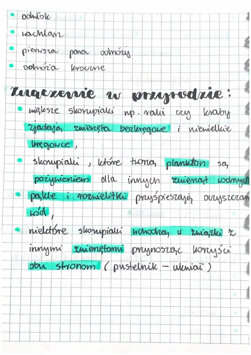 biologia
Co to rest stay
' - To vuchome połączenie części szkieletu.
stawonogi
-
Dział 111 Staronogi i
mięczali
gdzie wyja
Staronogi zyją pr