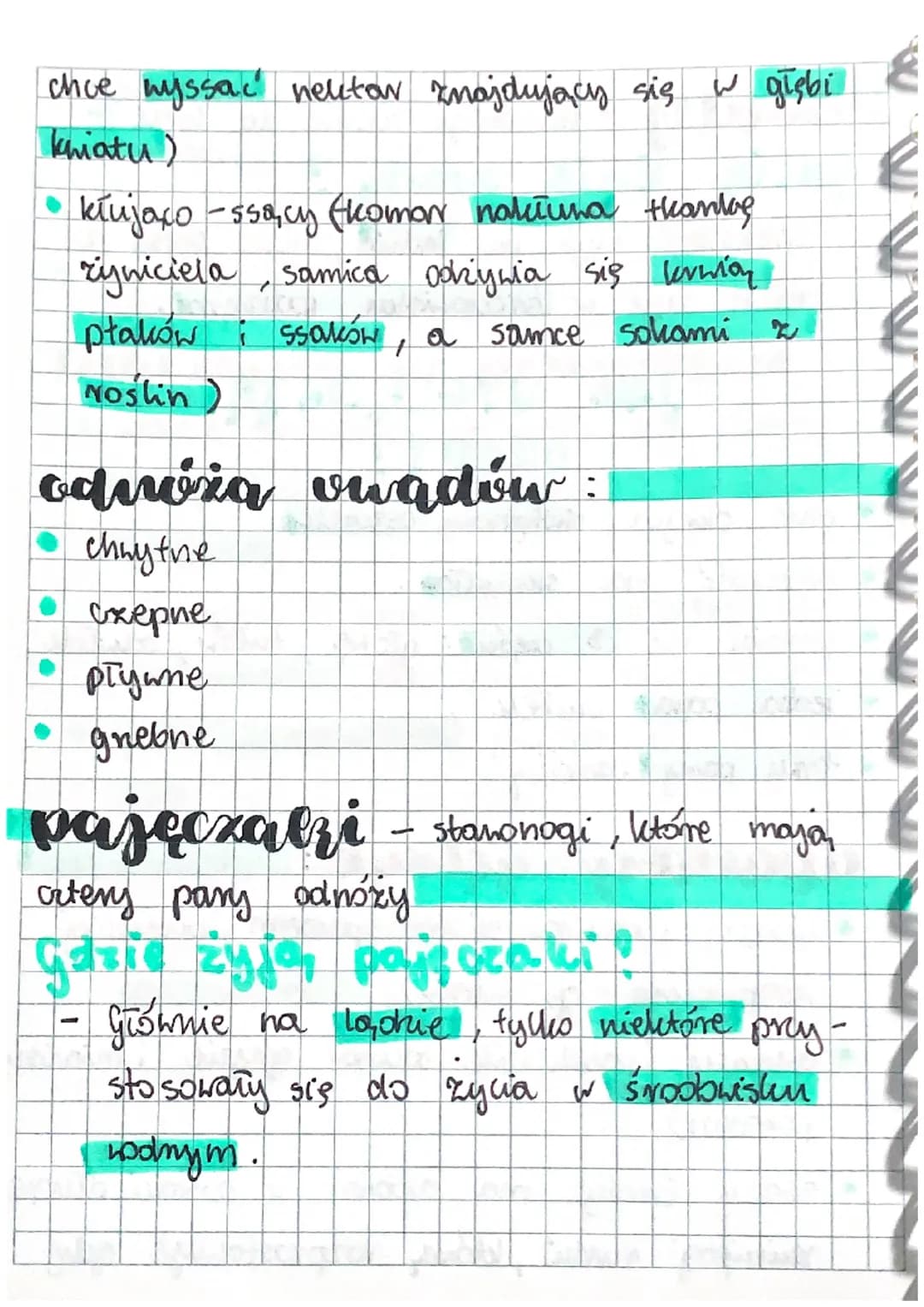 Stawonogi I Mięczaki Klasa 6 Proste wyjaśnienie: Stawonogi i Mięczaki - Przykłady, Cechy i