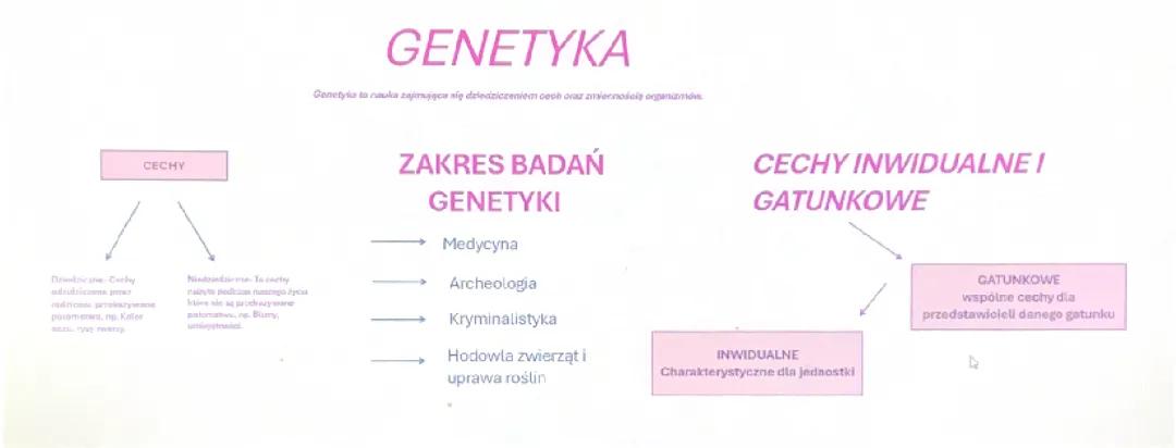 Czym jest genetyka 