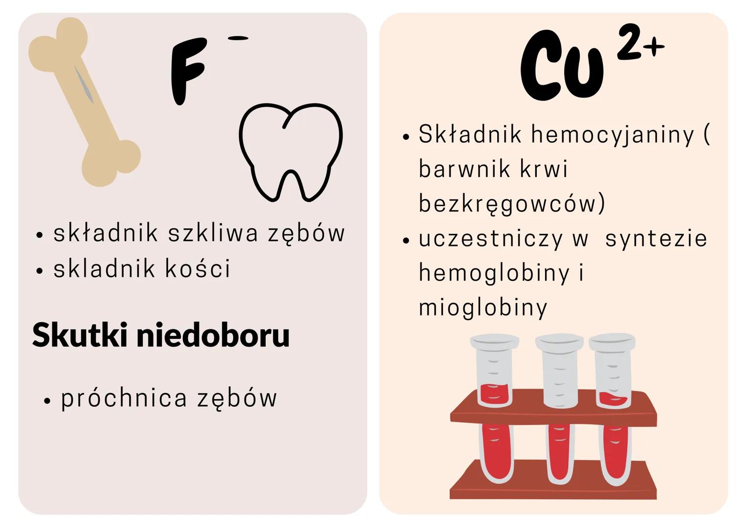 •

Ca$^{2+}$

• Składnik kości
• Skurcz mięśni
• krzepniecie krwi

**Skutki niedoboru**

• krzywica u dzieci
• osteoporoza u dorosłych
• zab