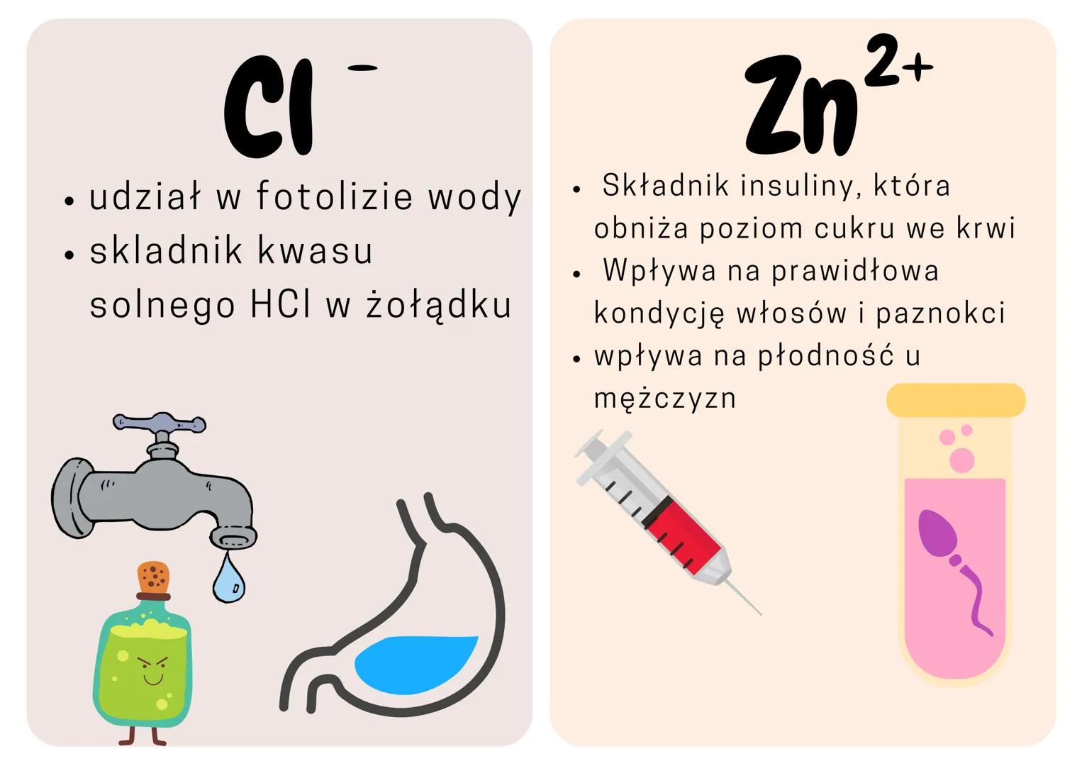 •

Ca$^{2+}$

• Składnik kości
• Skurcz mięśni
• krzepniecie krwi

**Skutki niedoboru**

• krzywica u dzieci
• osteoporoza u dorosłych
• zab
