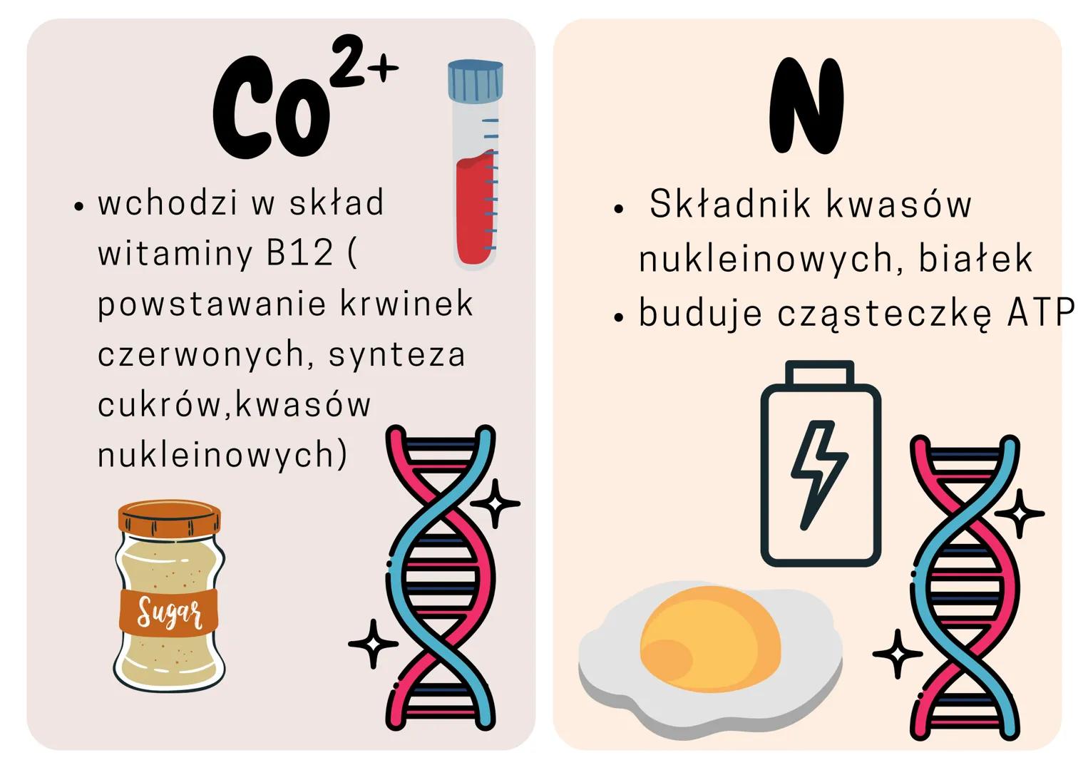•

Ca$^{2+}$

• Składnik kości
• Skurcz mięśni
• krzepniecie krwi

**Skutki niedoboru**

• krzywica u dzieci
• osteoporoza u dorosłych
• zab