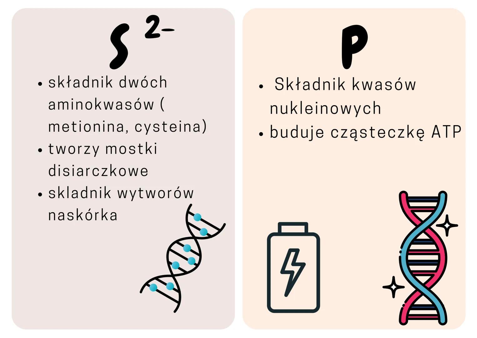 •

Ca$^{2+}$

• Składnik kości
• Skurcz mięśni
• krzepniecie krwi

**Skutki niedoboru**

• krzywica u dzieci
• osteoporoza u dorosłych
• zab