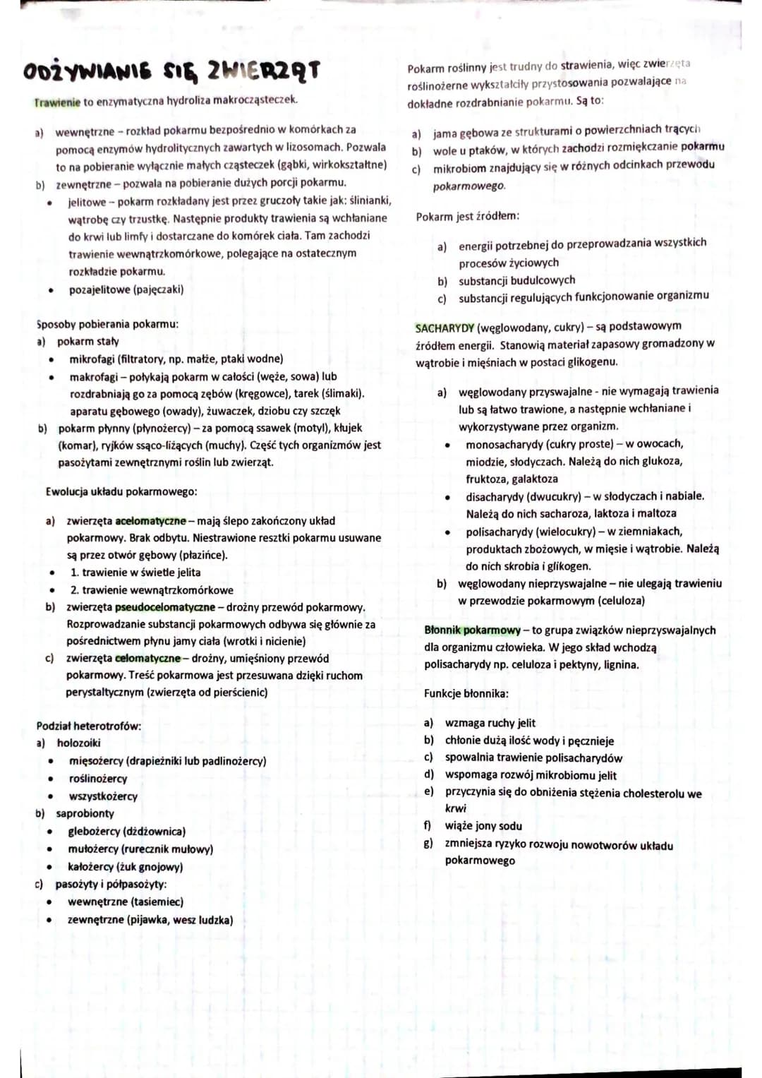 SKORA
Skóra jest największym narządem organizmu.
Funkcje powłoki ciała:
a) utrzymanie homeostazy
b) zabezpiecza przed urazami mechanicznymi
