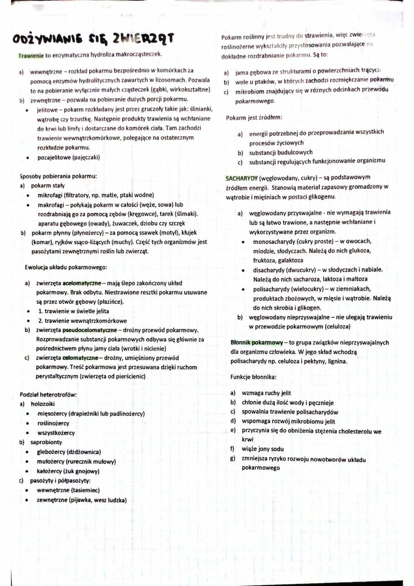 SKORA
Skóra jest największym narządem organizmu.
Funkcje powłoki ciała:
a) utrzymanie homeostazy
b) zabezpiecza przed urazami mechanicznymi
