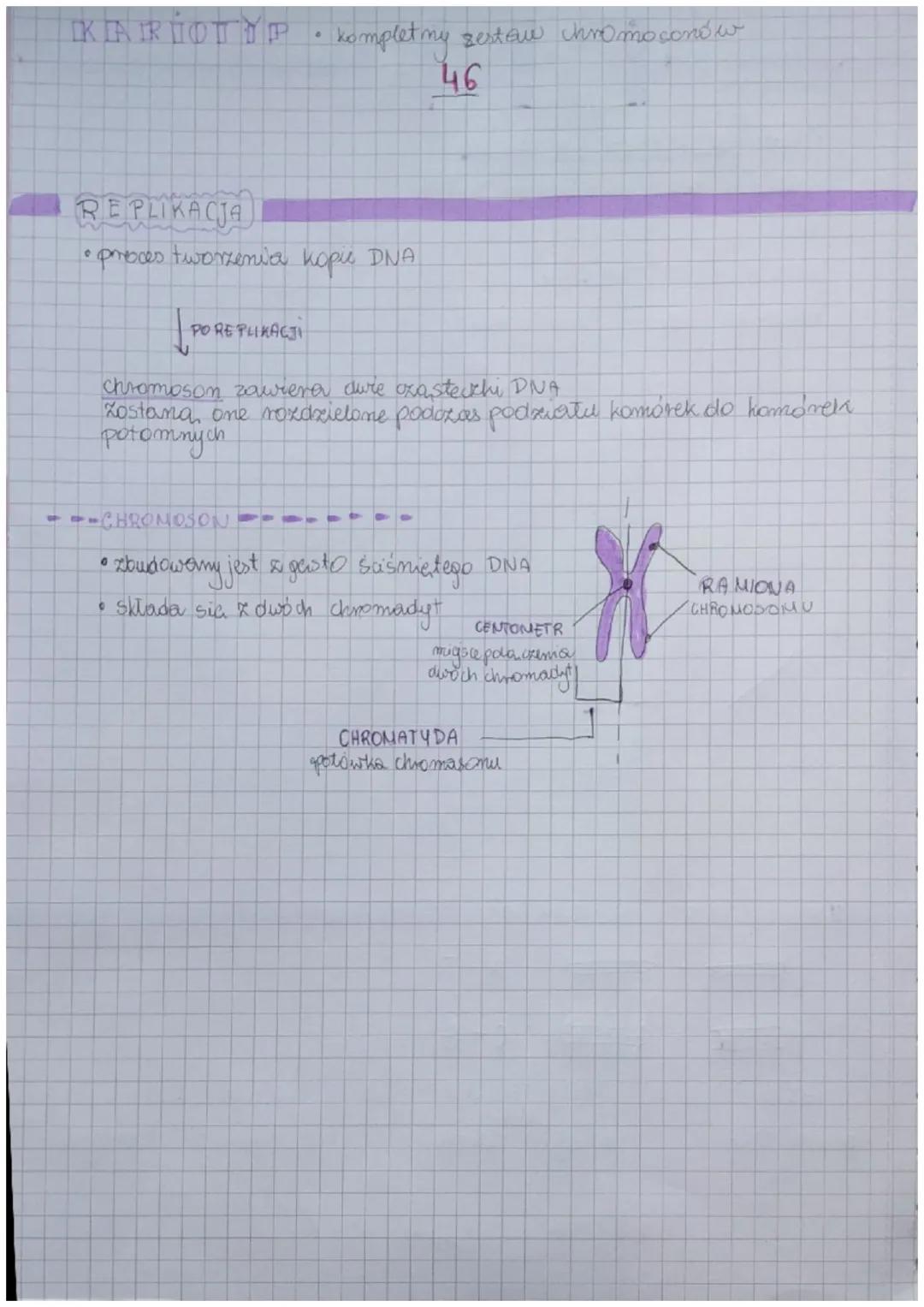 .
.
Kwas DEOKSYRY BONUKLE INOWY
zawiera informace o budowie biatha
JEDNA CZĄSTECZKA DNA
• zawiera wiele roznych genów
NIC DNA
CUKIER
DEOKSAR