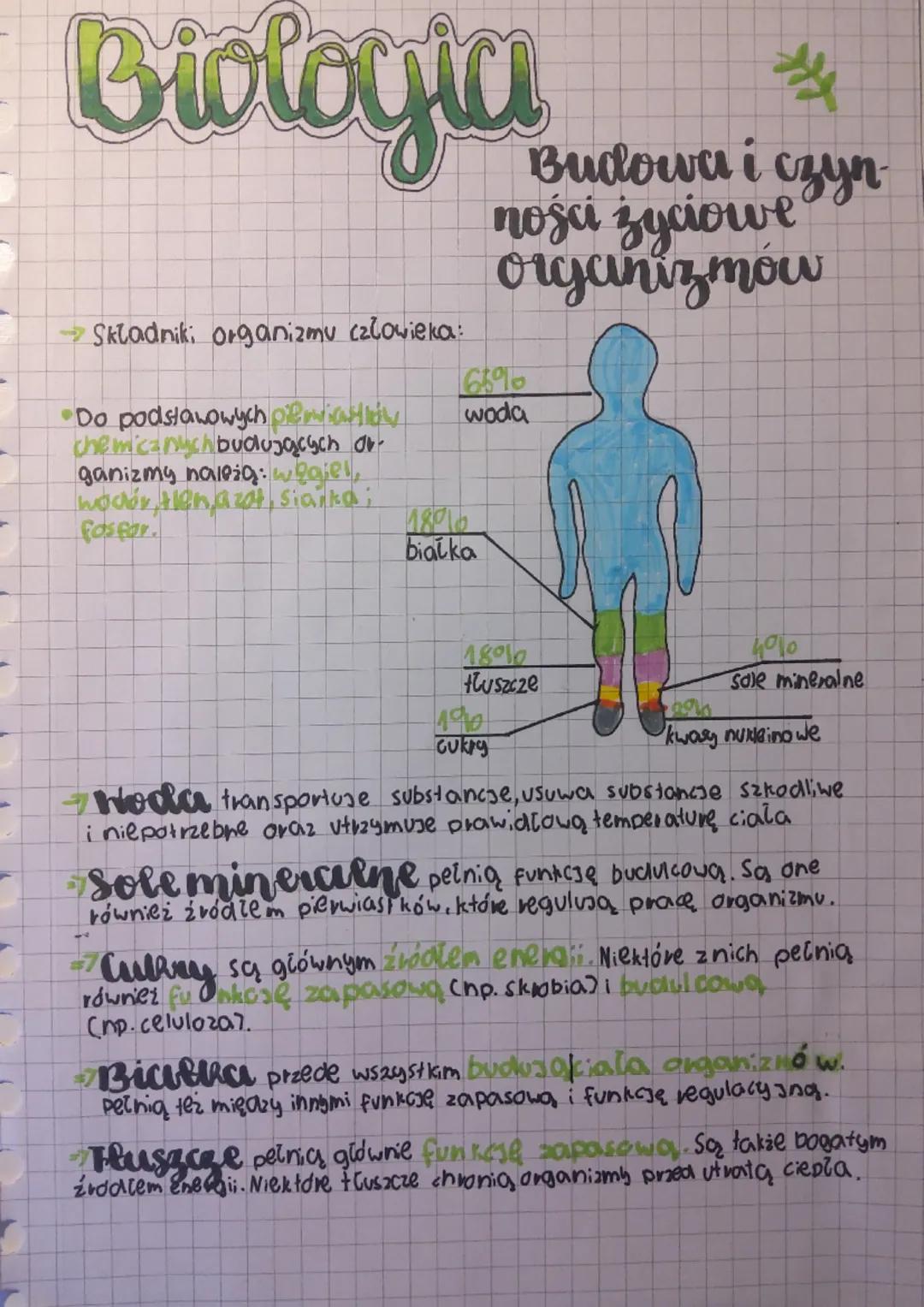 Biologia
→Skladniki organizmu człowieka:
Do podstawowych oifiadlow
chemicznych budujących or
ganizmy należą: wgiel,
woder tien azot, Siarka;