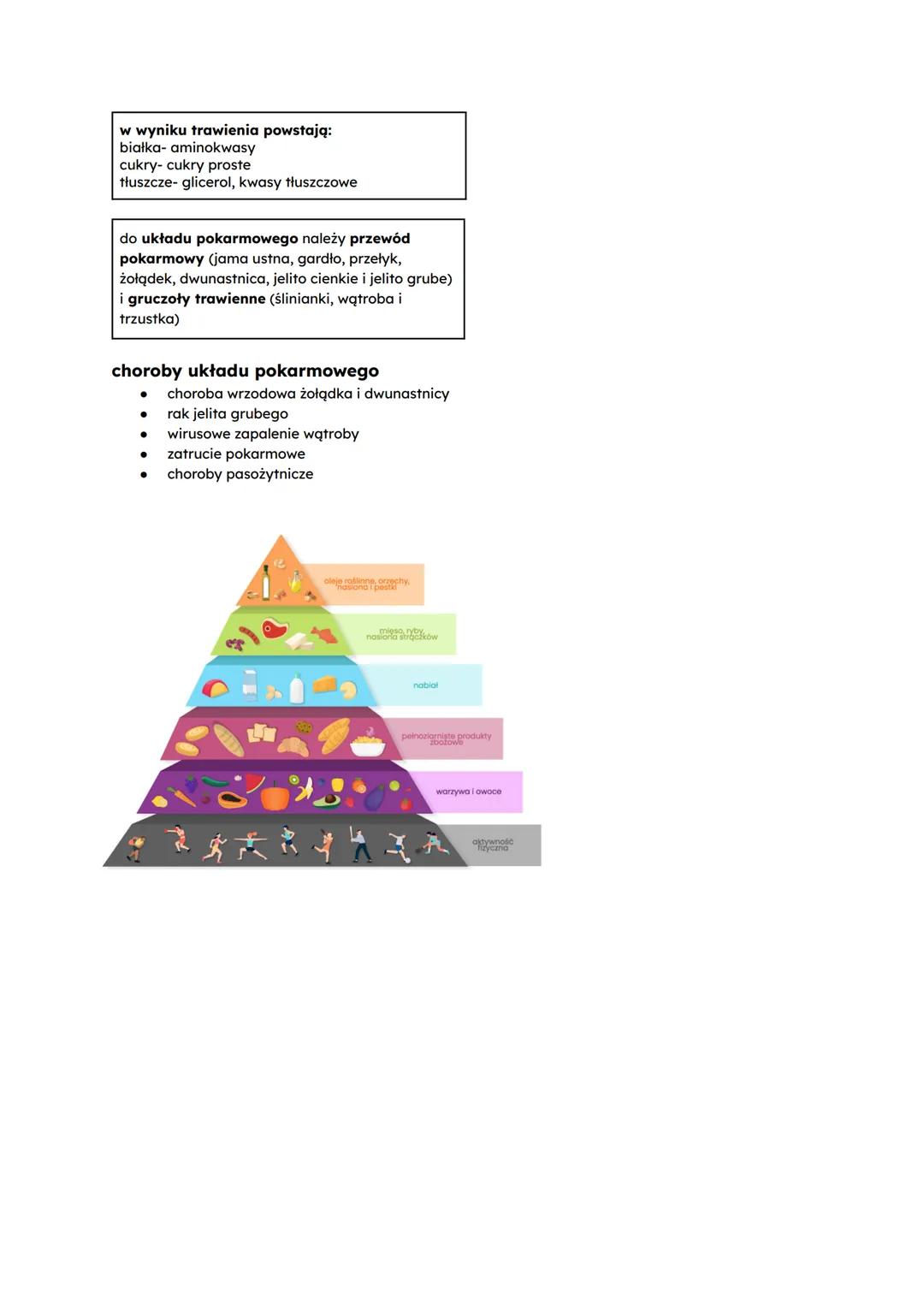 pokarm budulec i źródło energii
budowa
białka
węglowodany
/cukry
tłuszcze
witaminy
sole mineralne
woda
budowa
-zbudowane z
aminokwasów
-zwią