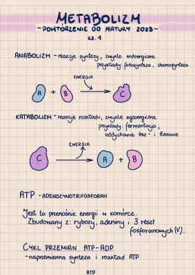 Know Metabolizm część 1 - powtórzenie do matury 2023/2024 thumbnail