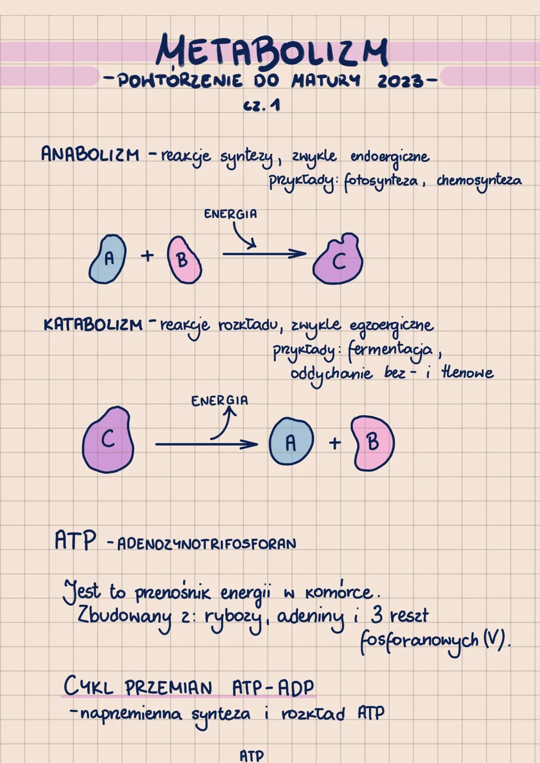 000
METABOLIZM
-POHTORZENIE DO MATURY 2023-
62.1
ANABOLIZM-reakcje syntezy, zwykle endoergiczne
A + B
ENERGIA
с
KATABOLIZM - reakcje rozkład