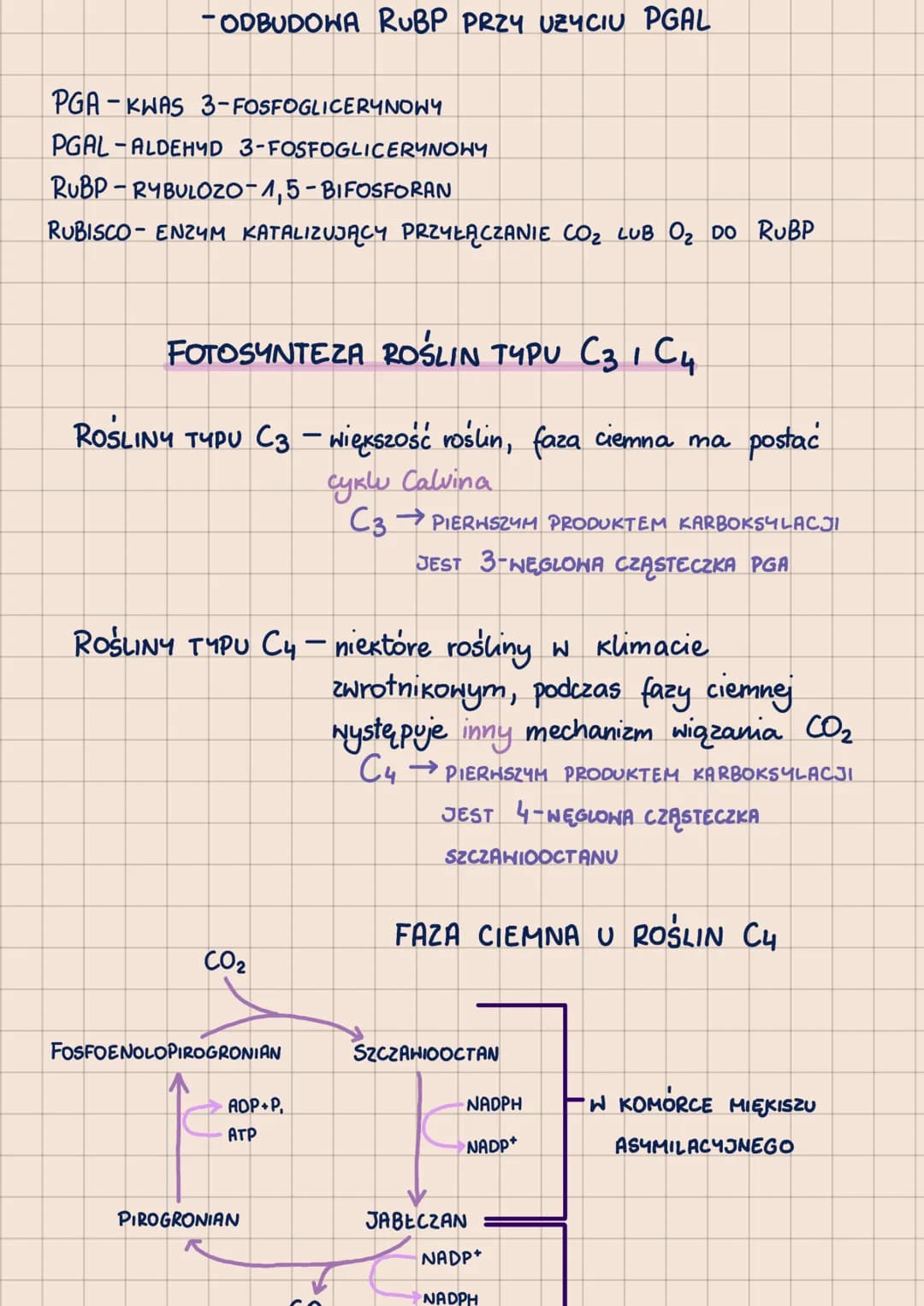 000
METABOLIZM
-POHTORZENIE DO MATURY 2023-
62.1
ANABOLIZM-reakcje syntezy, zwykle endoergiczne
A + B
ENERGIA
с
KATABOLIZM - reakcje rozkład