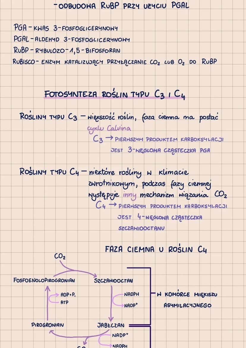 000
METABOLIZM
-POHTORZENIE DO MATURY 2023-
62.1
ANABOLIZM-reakcje syntezy, zwykle endoergiczne
A + B
ENERGIA
с
KATABOLIZM - reakcje rozkład